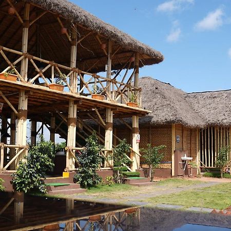 Hotel Spykee Spot Hampi Exterior foto